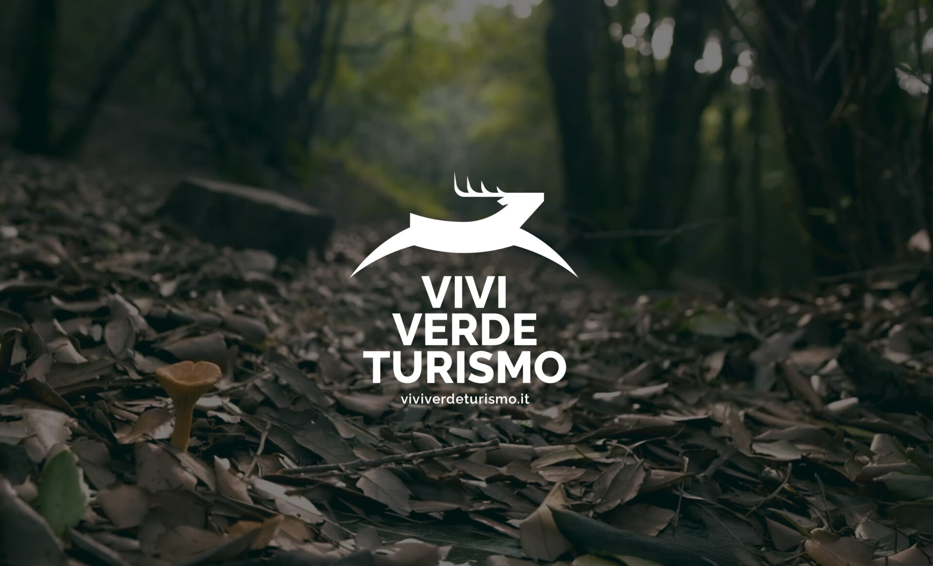 ViviVerdeTurismo sarà un hub online di esperienze, consigli, percorsi e servizi dedicati al turismo che desidera vivere esperienze a contatto con la natura nell’entroterra sardo. Il concept di questa identità parte da un’idea di versatilità e memorabilità, poiché è importante che il logo venga ricordato e sia ben leggibile nonostante la complessità del significante, e che venga immediatamente riconosciuto anche quando è utilizzato come watermark in video promozionali o reels fruiti sui social media.
